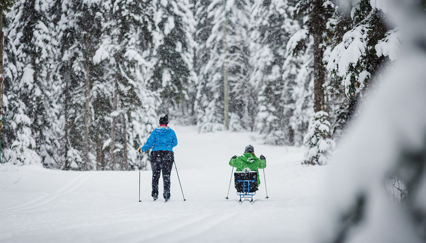 SitSkiing in Prince Travel Northern BC